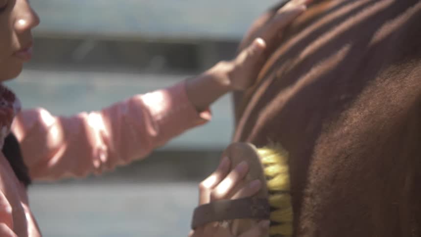 A woman is brushing her horse