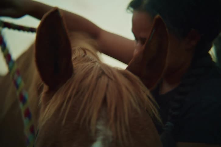 Woman putting a rope on a horse