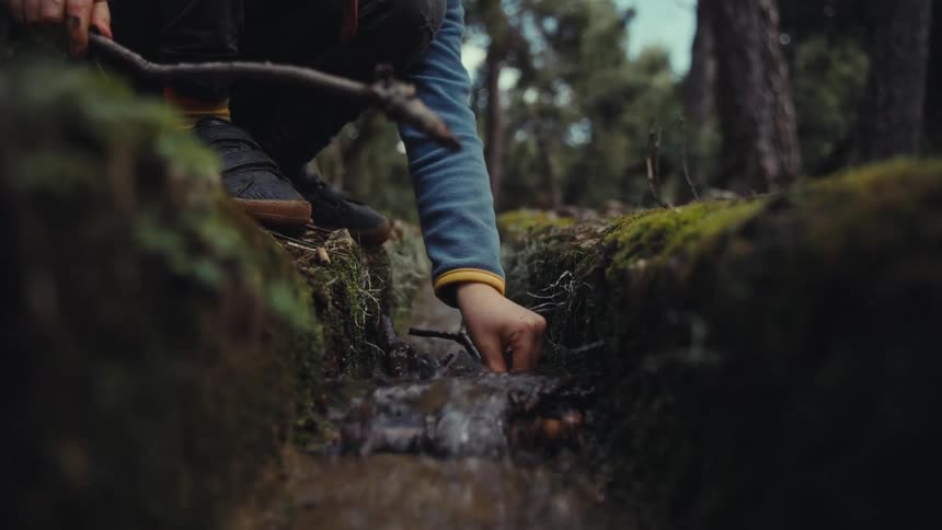 Person placing a twig in the middle of a small stream in the middle of the forest