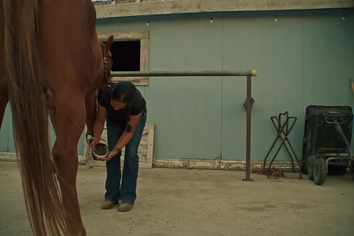 Woman cleaning a horses leg