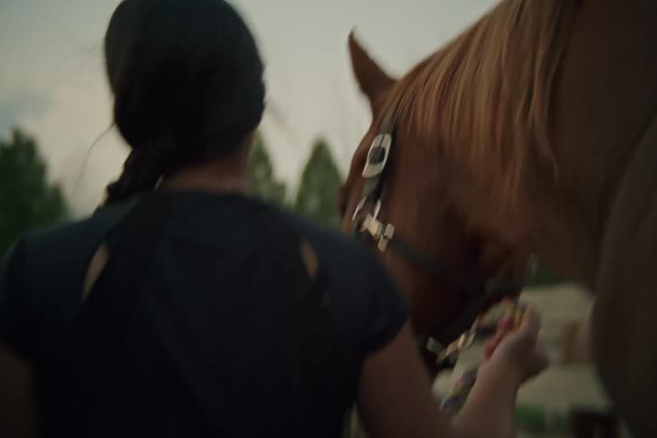 Woman walking next to a horse holding it by a rope