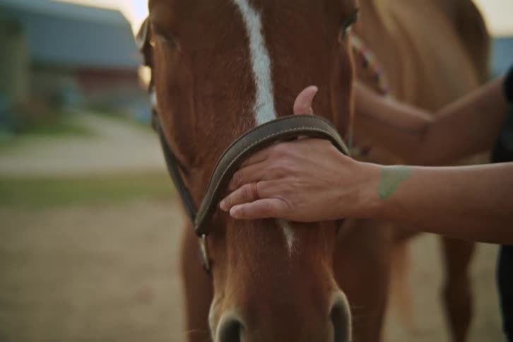 Woman leading a horse outdoors