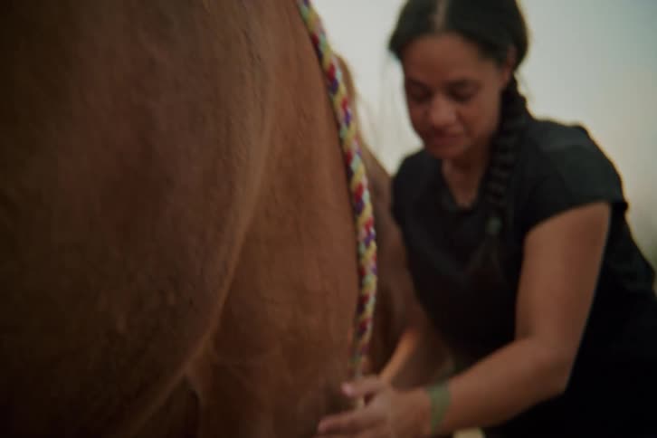Woman running her hand over a brownhaired horse