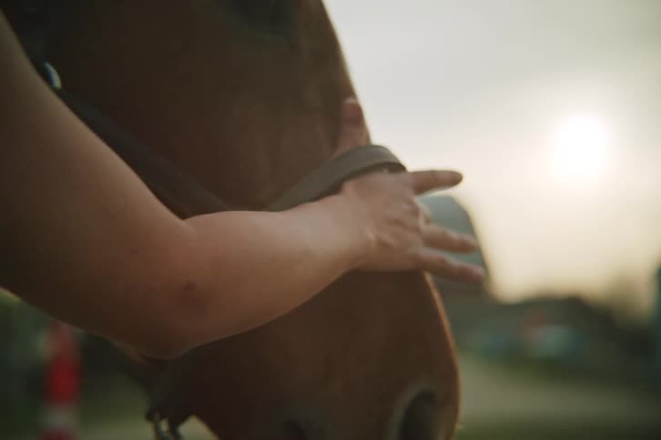 Woman in contact with a horse and with one of her hands on her face