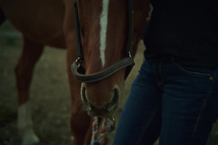 Woman slides a halter onto a horse in the corral while red tints the horizon