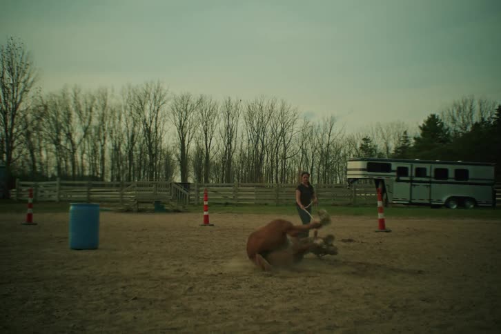 Woman holding a horse by a rope that has just fallen to the ground