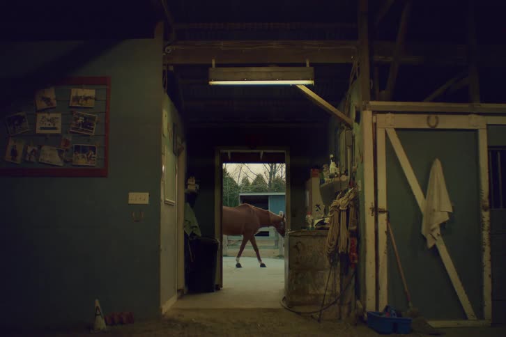 Woman walking and leading a horse seen through a barn door