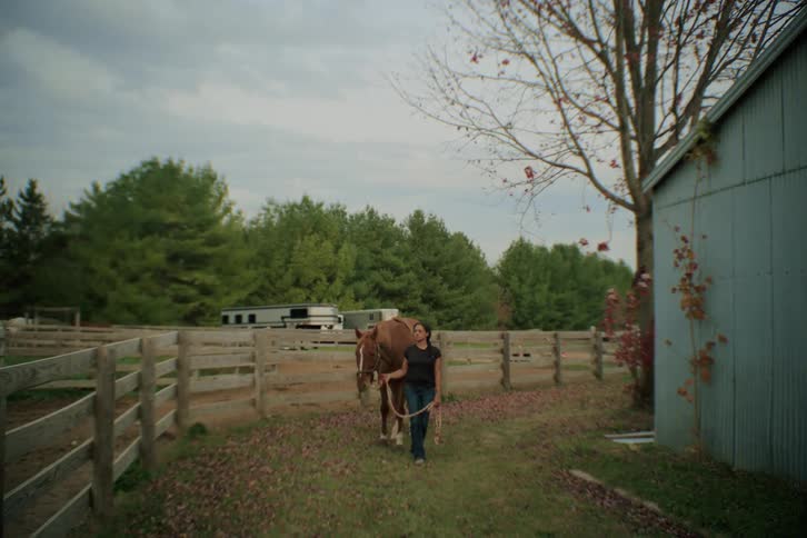 Woman leading a horse with a rope through a pasture