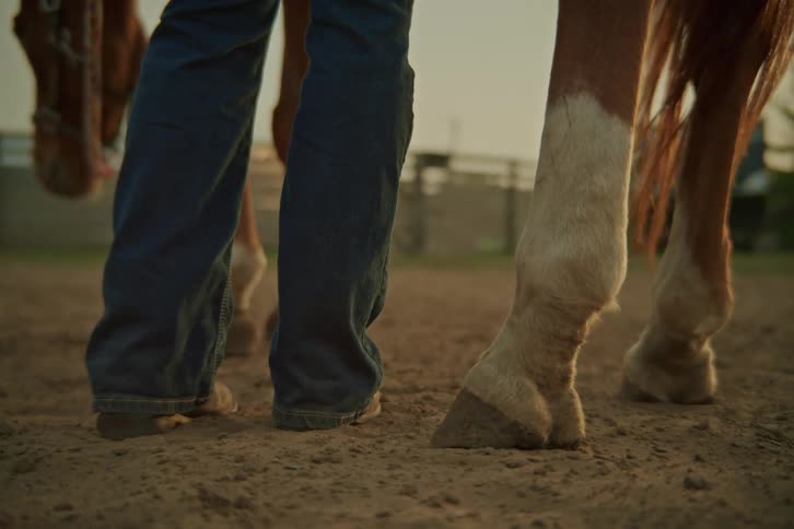 From a low angle a closeup captures the legs of a person in jeans and boots standing still beside the front legs and hooves of a horse on dirt ground