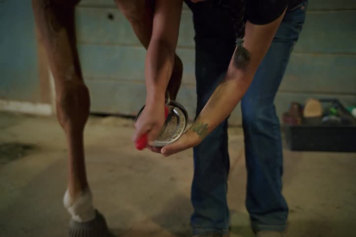 Female veterinarian cleaning a horses leg