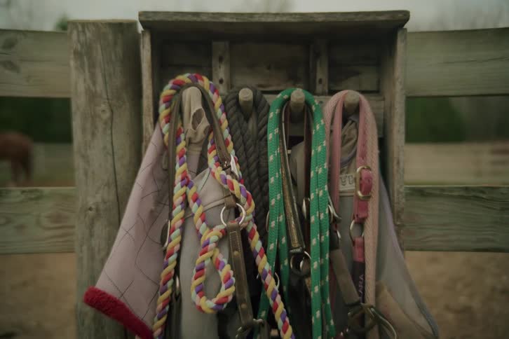 Close up of a wooden cabin with horse ropes