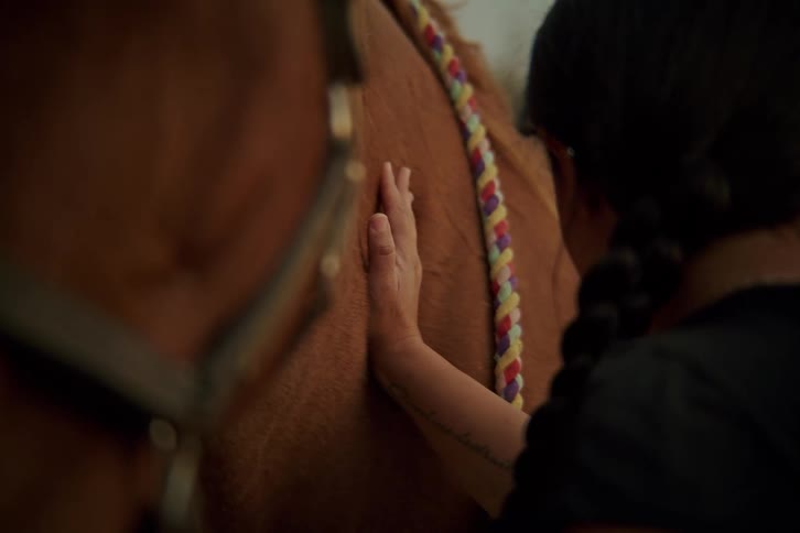 A woman is touching the horse