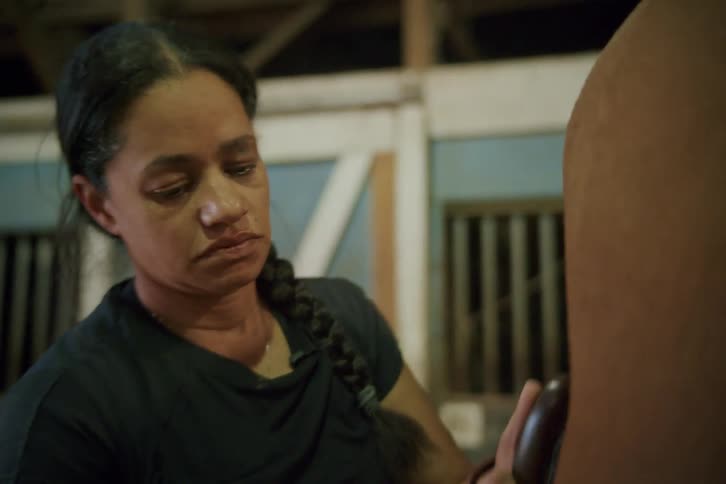 Woman grooms a horse while in the stables