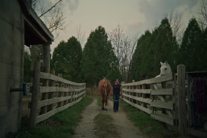 A woman is walking a horse