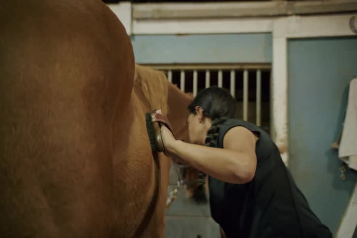 Woman scratching brush on a horse