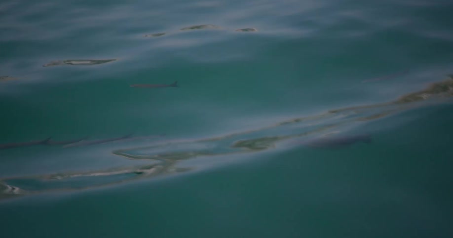 The sun reflects on the water