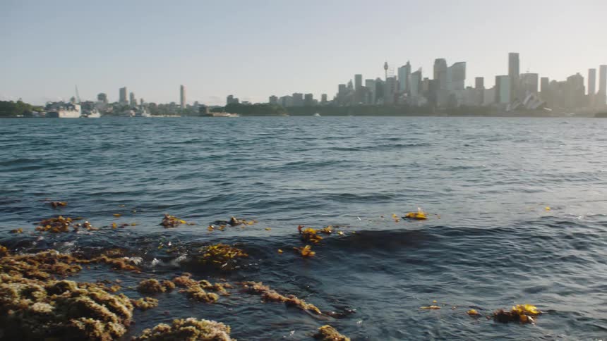 A large city is on the shore