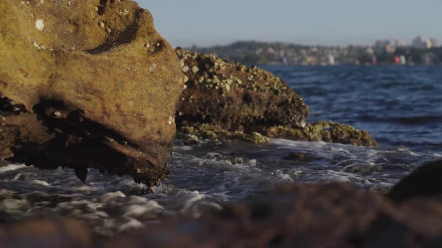 Rocks with moss by the sea