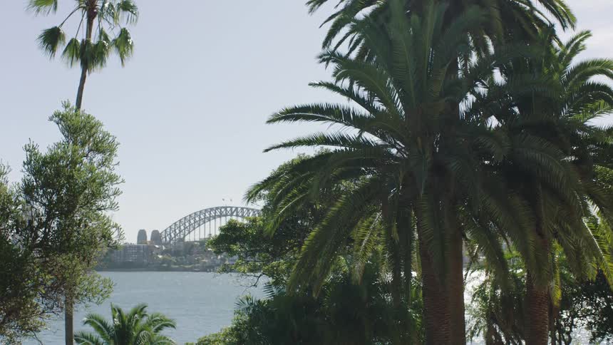 Sun glares onto waterside trees across the water from the downtown skyline on a summer day