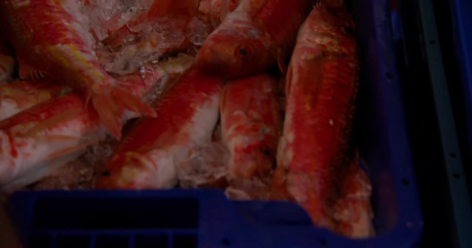 Boxes with fresh fish on ice