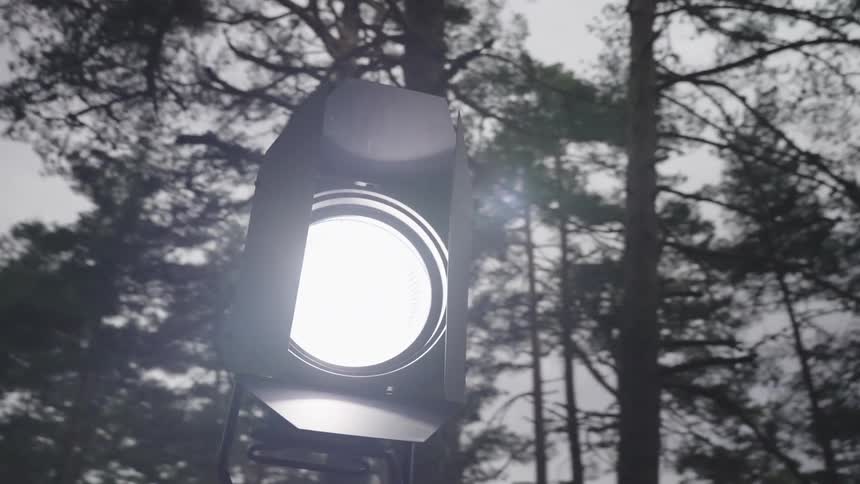 A camera light is shining in the forest