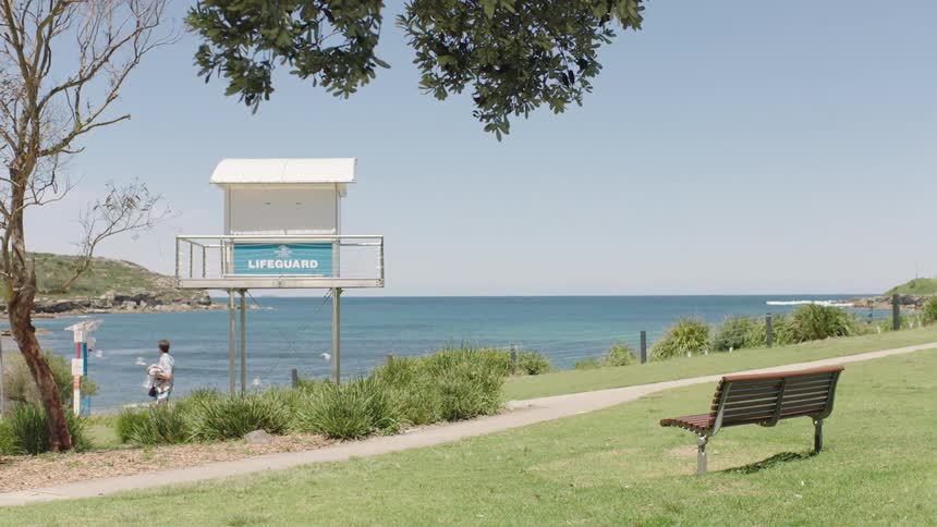 Birds fly by the lifeguard station