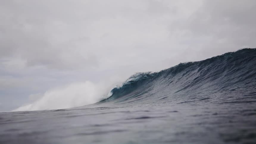 A large wave travels in the ocean