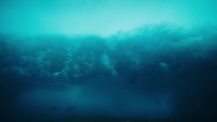 The coral reef is deep underwater