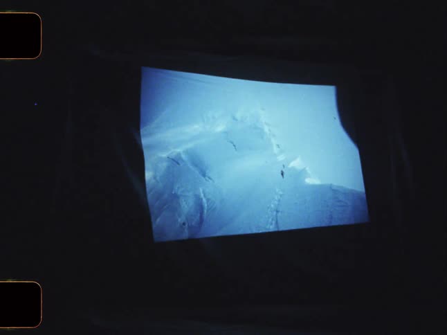 Closeup of a screen displaying photos