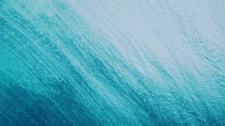 Isolated fish submerged in the ocean below a breaking wave