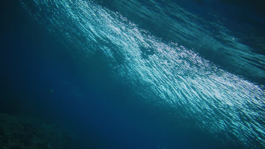 Sunlight filters through the surface of a deep blue body of water illuminating a rocky algaecovered underwater terrain