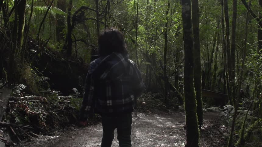 Child walks through the woods