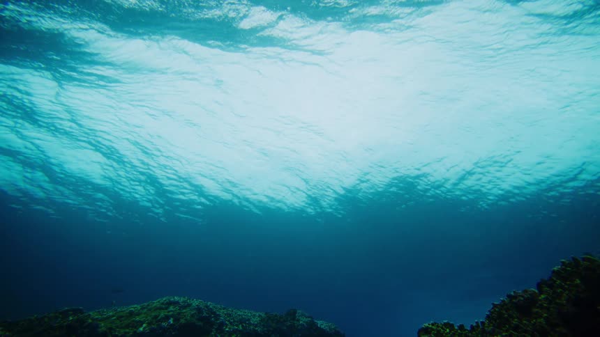 Underwater view in ocean of fish in corals and crashing waves