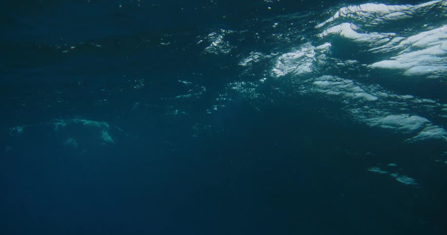 The water turns and moves