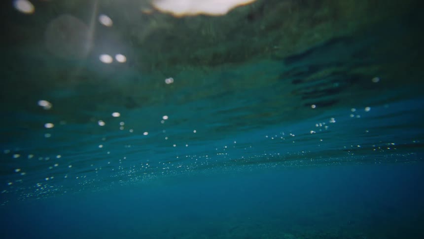 An underwater view of a dark textured seabed with scattered marine life beneath a darker blue expanse of water with bubbles rising towards the surface