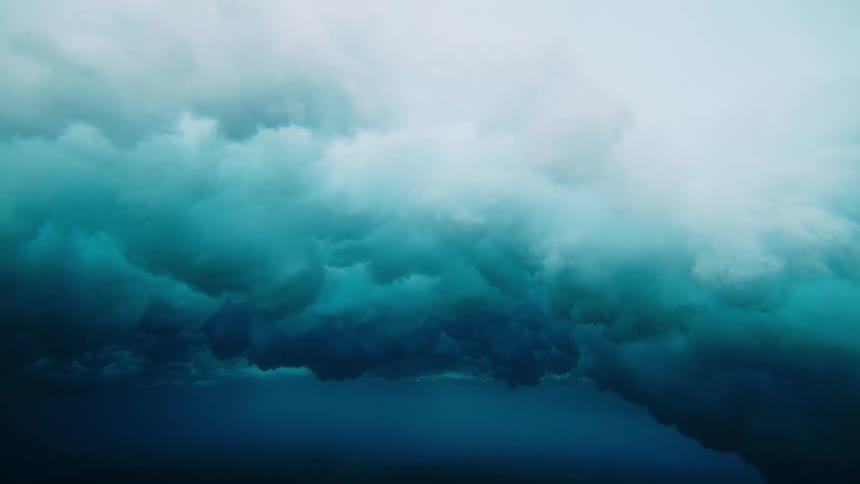 An underwater view of a dark textured seabed covered with algae with the surface of the water above appearing bright and slightly choppy