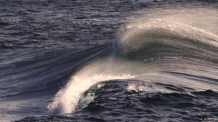 Wave in a turquoise blue sea breaking in the ocean at dawn