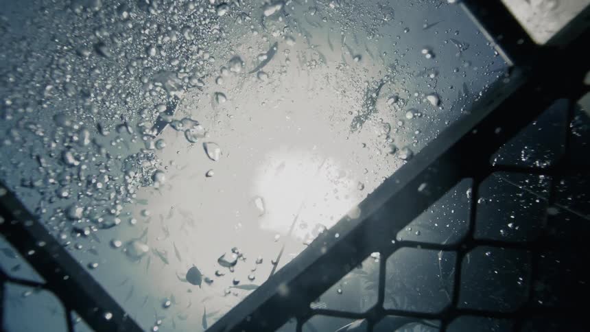 View from inside the ocean with fish swimming and air bubbles
