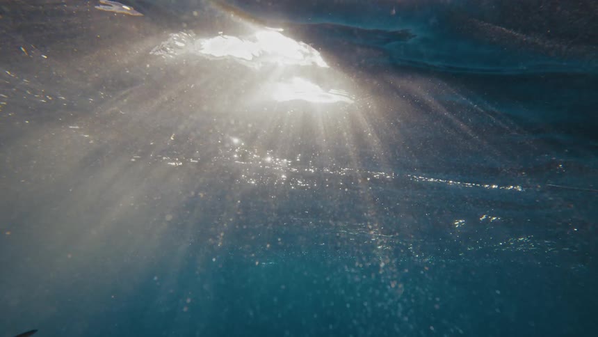 An underwater view with several small fish swimming around and sunlight coming from the surface