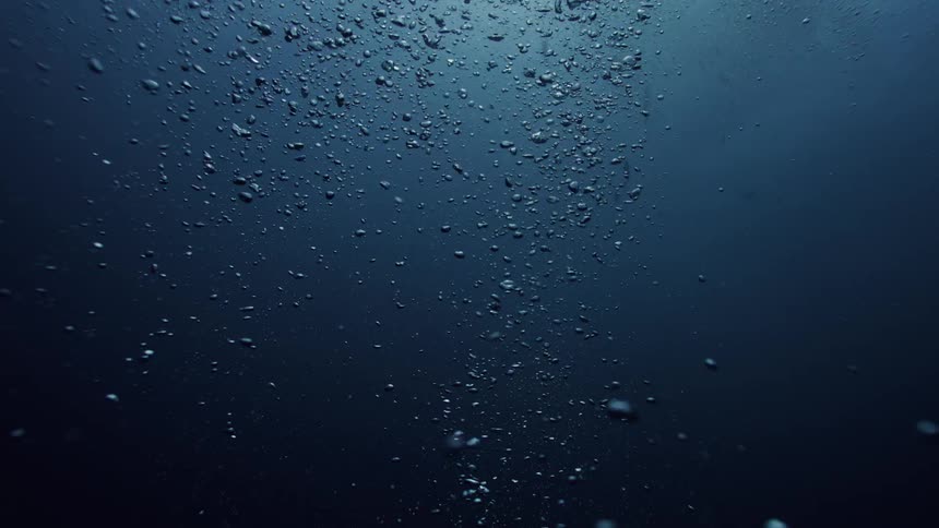 Air bubbles rising towards the ocean surface