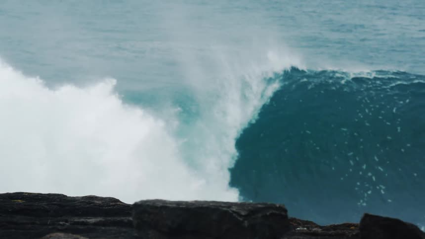 People and a dog watch men surf
