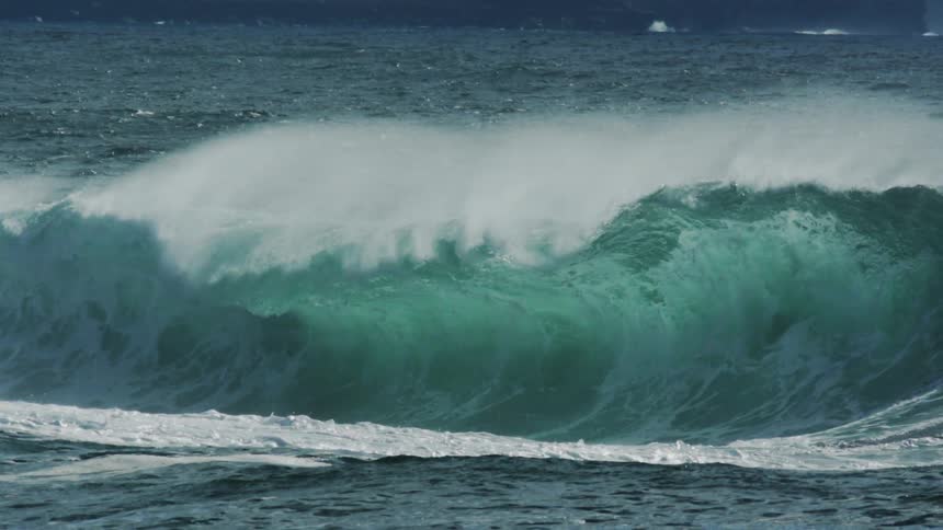 A large deep blue ocean wave curls powerfully creating white spray as it begins to break