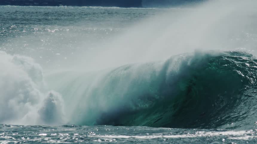 People wearing wet suits and flippers float and jump through a wave as it swells and breaks