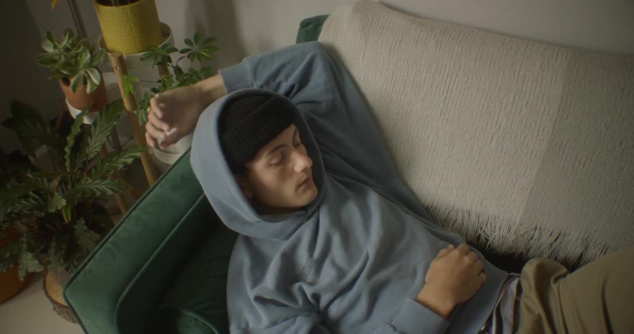 Young man lies in a living room on a couch near a corner filled with houseplants