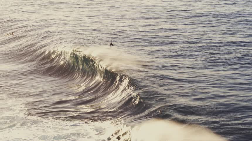 Two surfers in a sea with waves at dawn