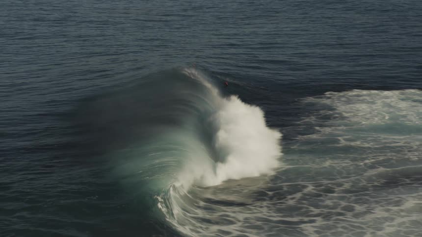 The wave moves along with the tide