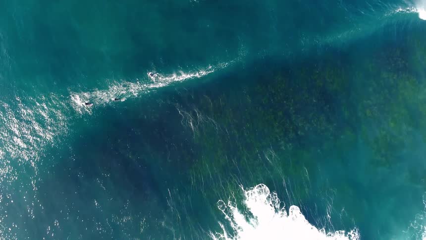 Aerial shot of surfers in a vast turquoise blue ocean with large waves