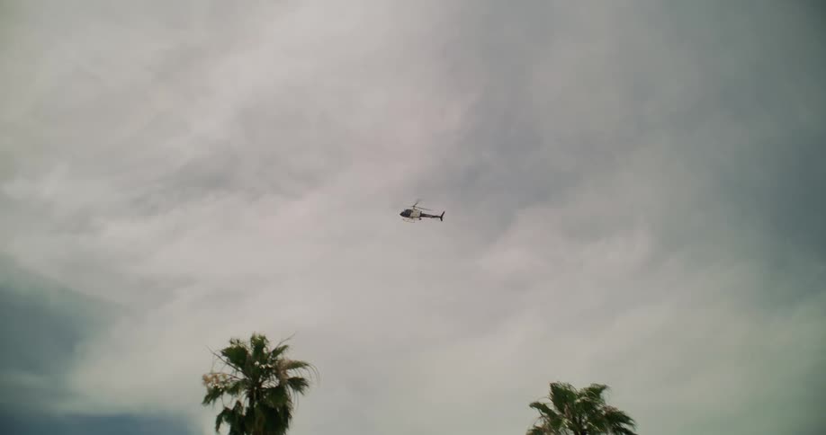 A helicopter flies over a tropical area with palm trees