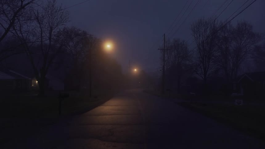A foggy street light up by street lights at night
