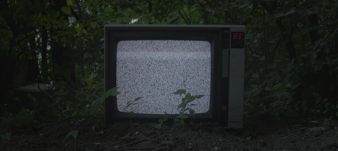 Tv showing static in the woods